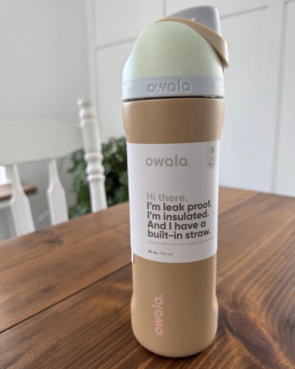 美國Owala FreeSip隔熱不鏽鋼吸管水瓶 24oz
