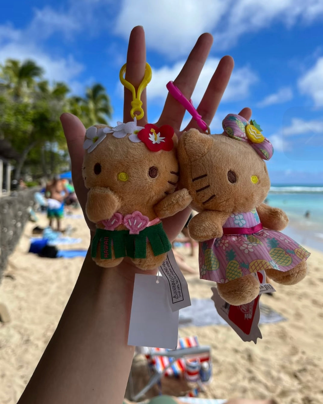 Hello Kitty 美國夏威夷限定🌺黑皮粉紅比堅尼