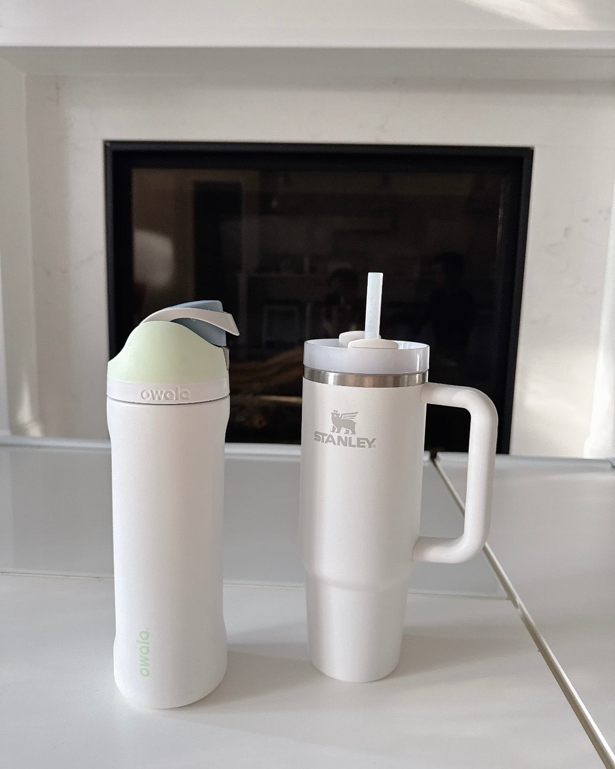 美國Owala FreeSip隔熱不鏽鋼吸管水瓶 24oz