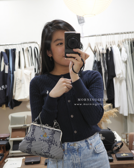 Vivienne Westwood Granny Frame Purse 經典餃子袋 SS25春季最新藍白格