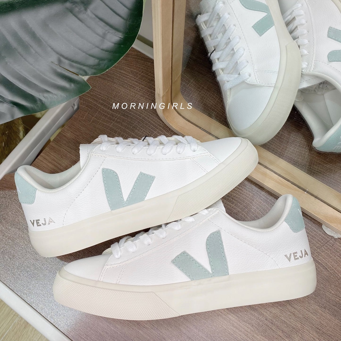 VEJA法國小白鞋 Campo 牛油果綠